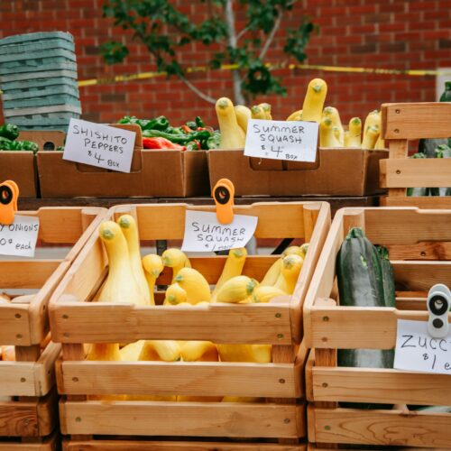 Żywność GMO: Fakty i mity